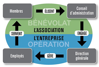Structure administrative